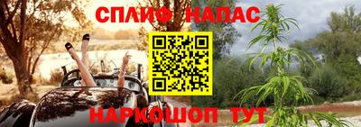 прущие крисы Железногорск